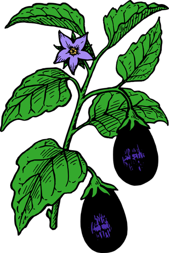 Eggplant On A Stable Clipart