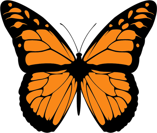 Of Orange Butterfly With Wide Spread Wings Clipart