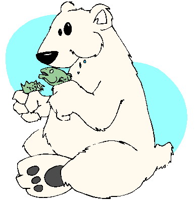 Polar Bear For Children Images Image Png Clipart