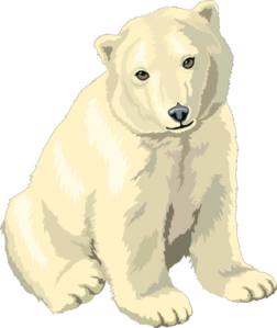 Sitting Polar Bear Cub High Quality Clipart