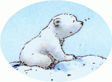 Cute Polar Bear Image Image Png Clipart
