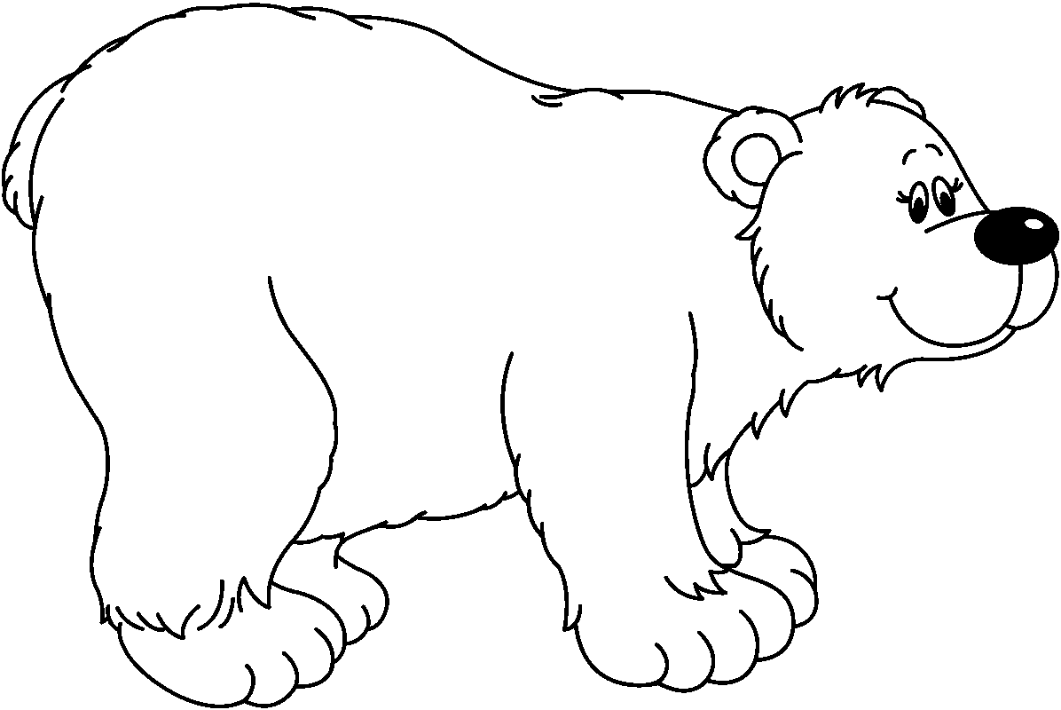 Polar Bear Bear Pictures Graphics Free Download Png Clipart