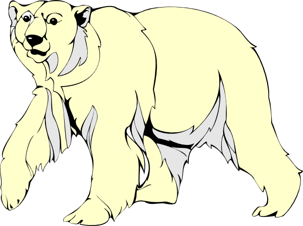 Polar Bear The Png Image Clipart