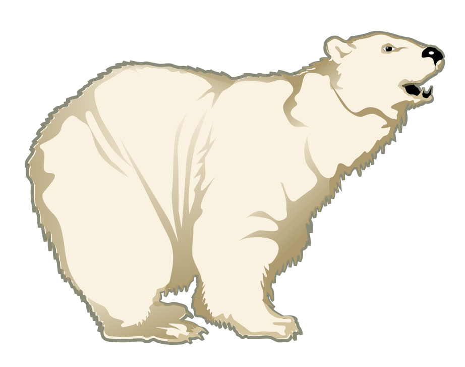 Polar Bear To Use Hd Photo Clipart