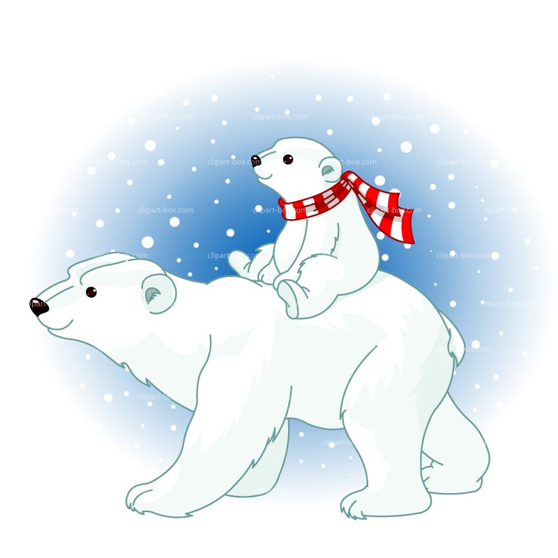 Polar Bear Polar Animals Kid Download Png Clipart