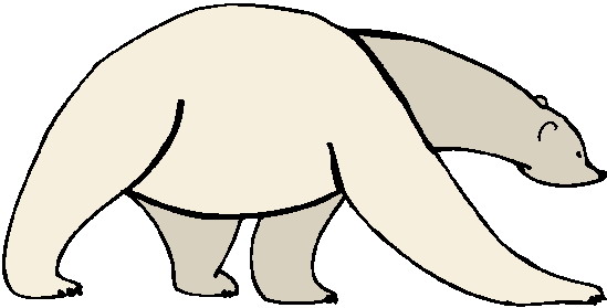 Polar Bears Png Images Clipart