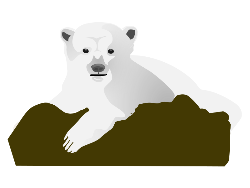 Polar Bear Hd Photos Clipart