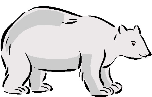 Polar Bear For Children Images Free Download Png Clipart