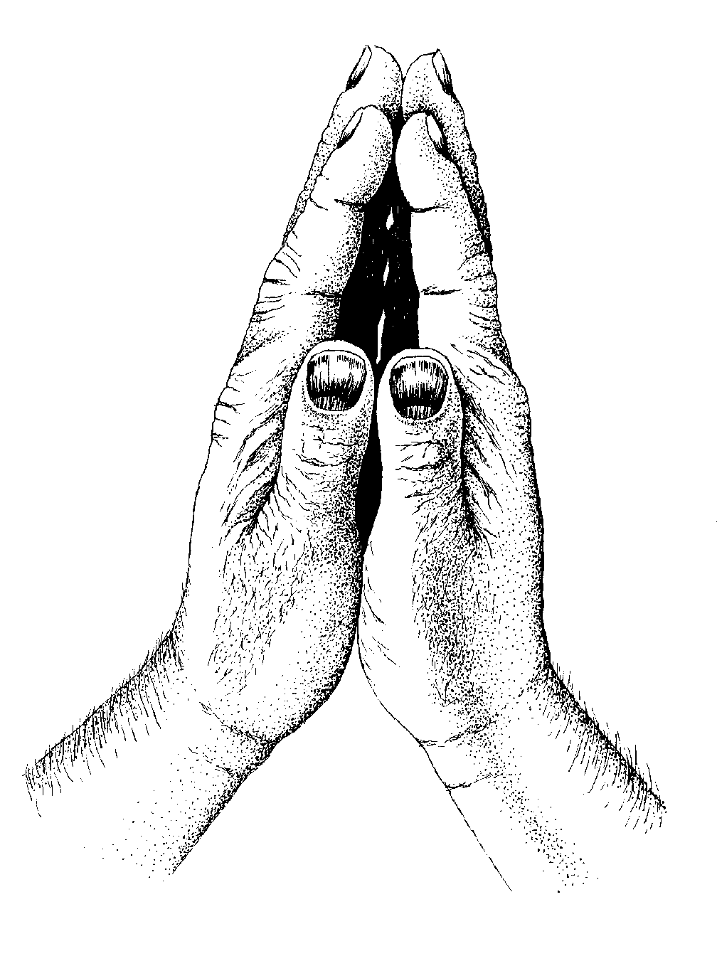 Praying Hands 4 Download Png Clipart
