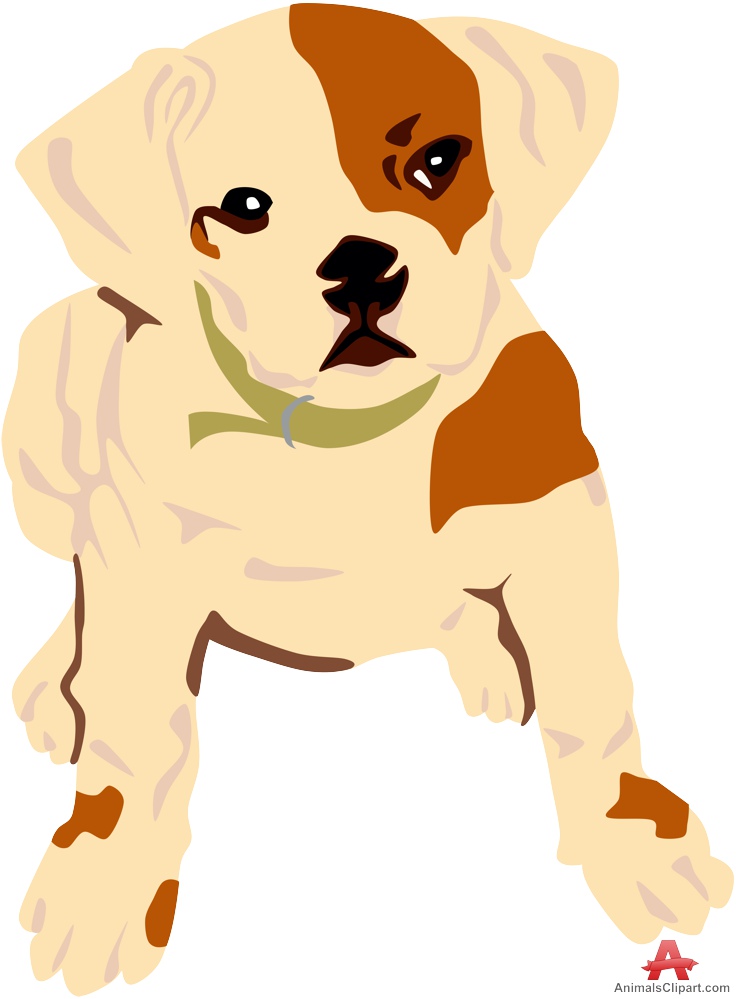 Puppy Png Images Clipart