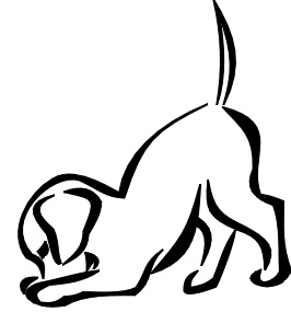 Puppy Images Free Download Png Clipart