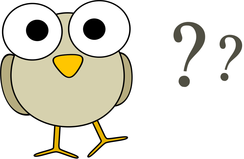 Questions Grey Bird With Question Marks Animals Clipart