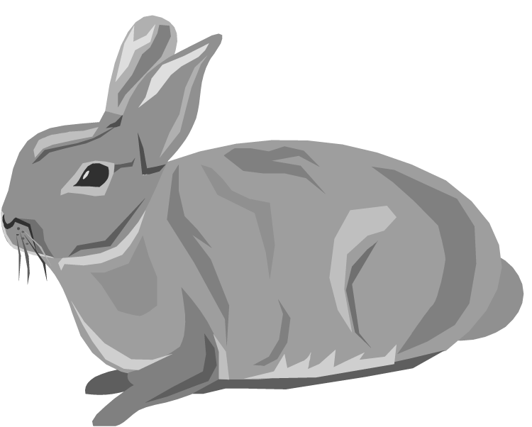 Rabbit Rabbit Animals Downloadclipart Org Hd Photo Clipart