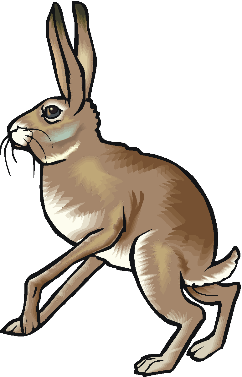 Rabbit Rabbit Animals Downloadclipart Org Image Png Clipart
