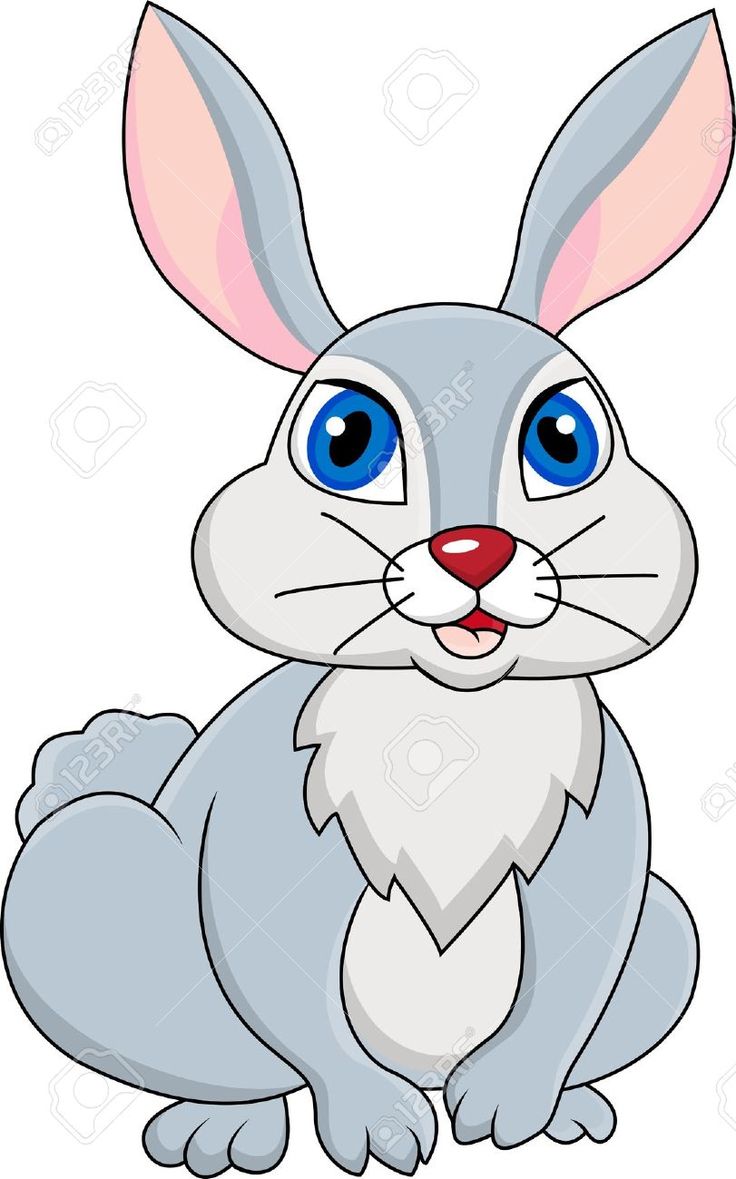 Bunny Rabbits Graphics Images And Photos Clipart