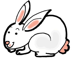 Rabbit For You Hd Photo Clipart