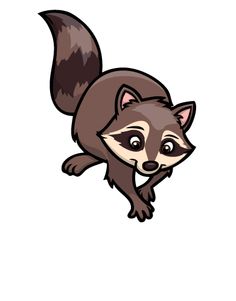 Iconer Raccoons And Album Download Png Clipart
