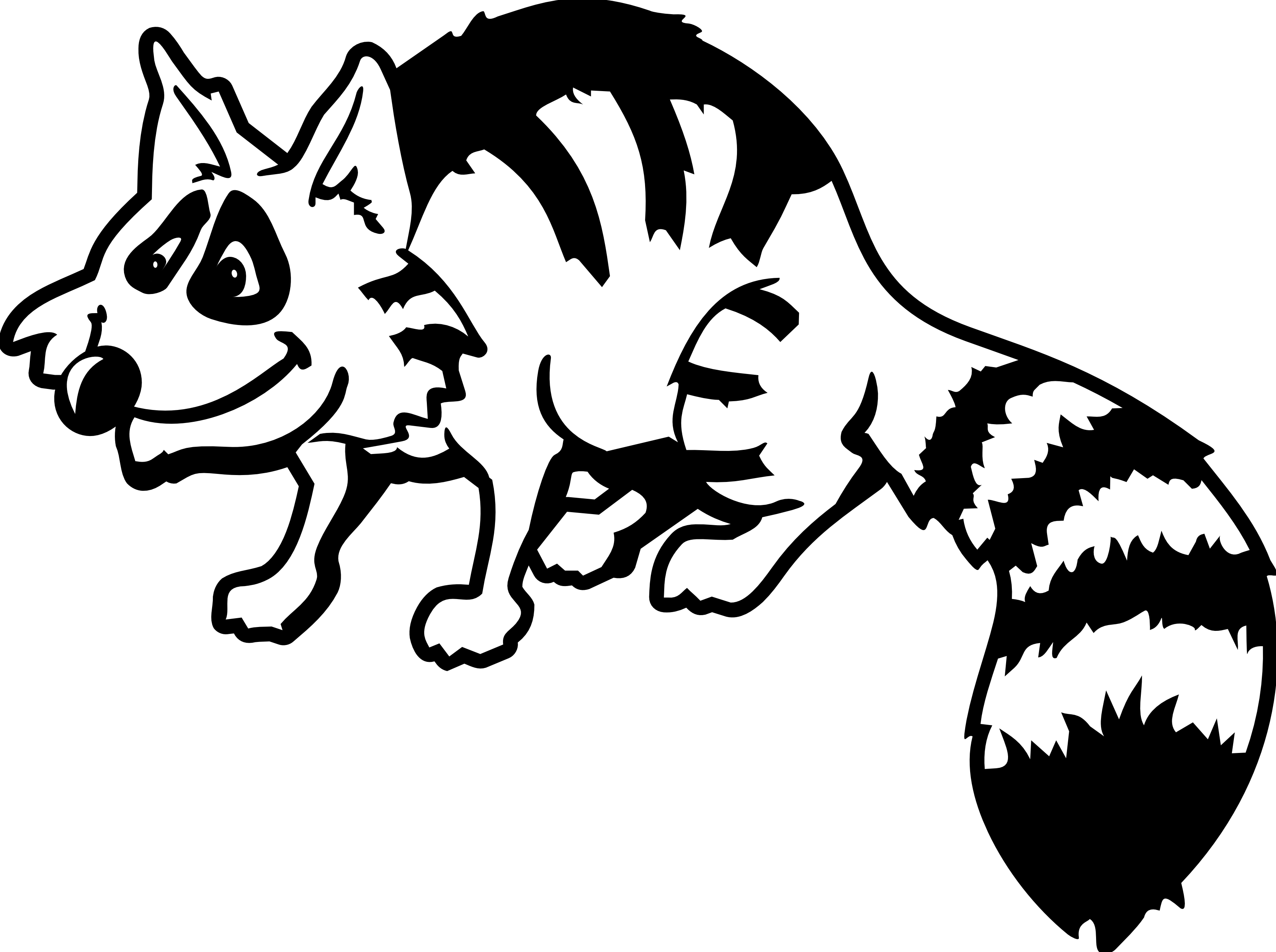 Raccoon Black And White Images Free Download Clipart