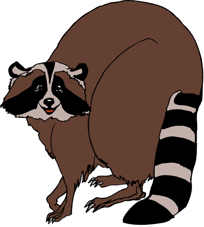 Free Raccoon Image Png Clipart