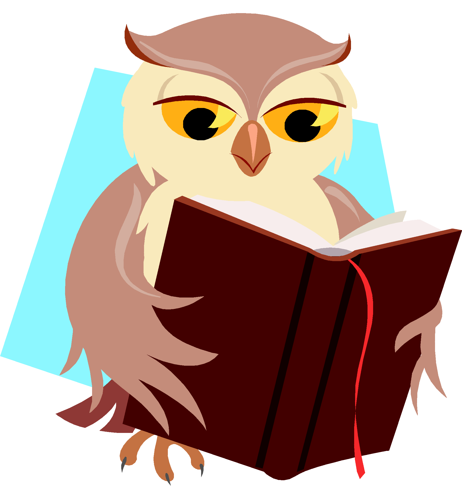 Owl Reading Schliferaward Transparent Image Clipart