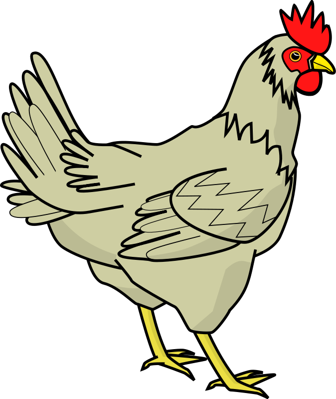 Free Rooster Hd Photos Clipart