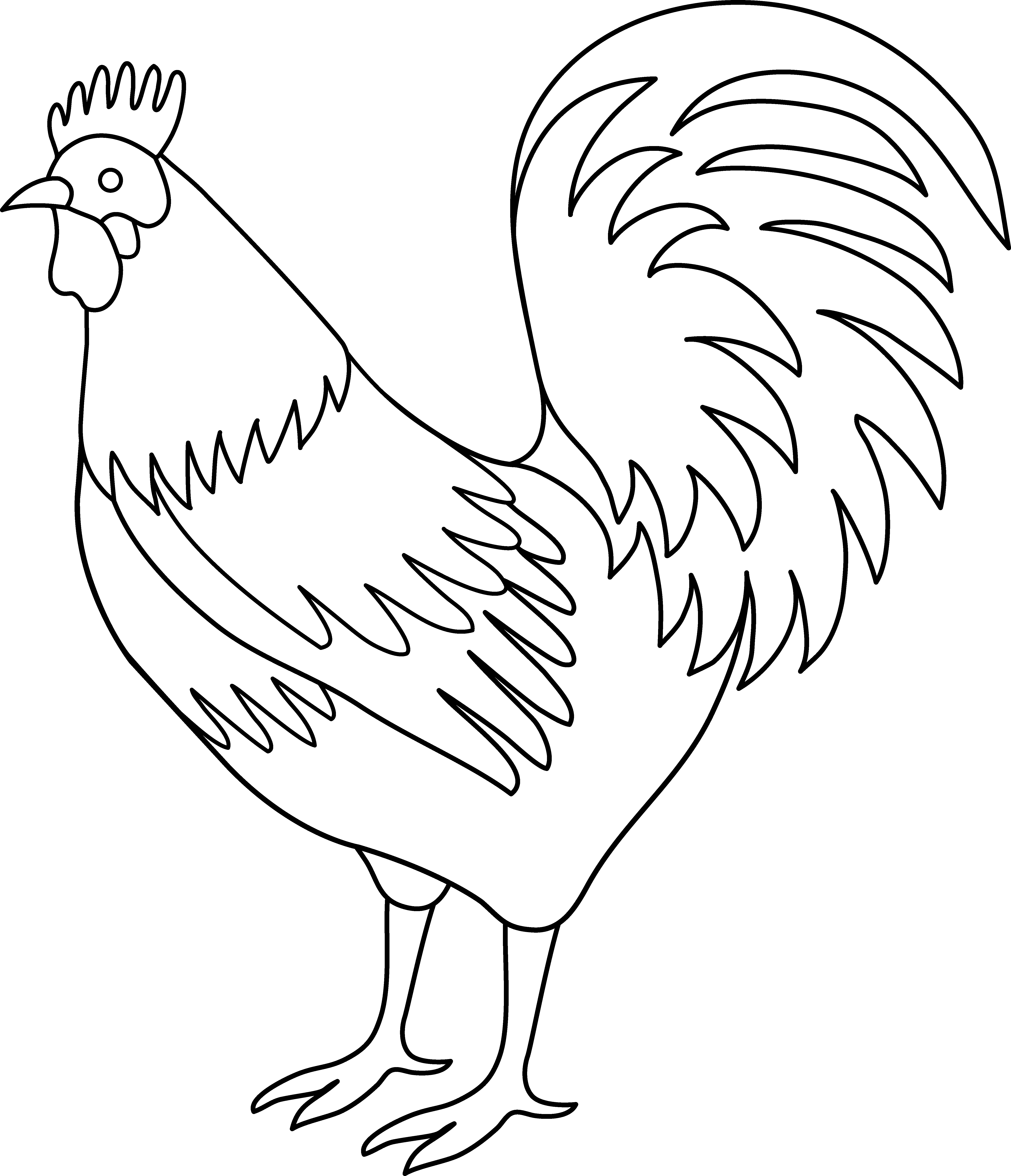 Rooster Coloring Page Image Png Clipart