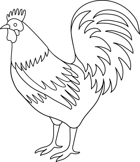 Rooster Coloring Page Hd Photos Clipart