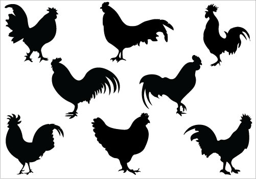 Rooster Black And White Images Transparent Image Clipart