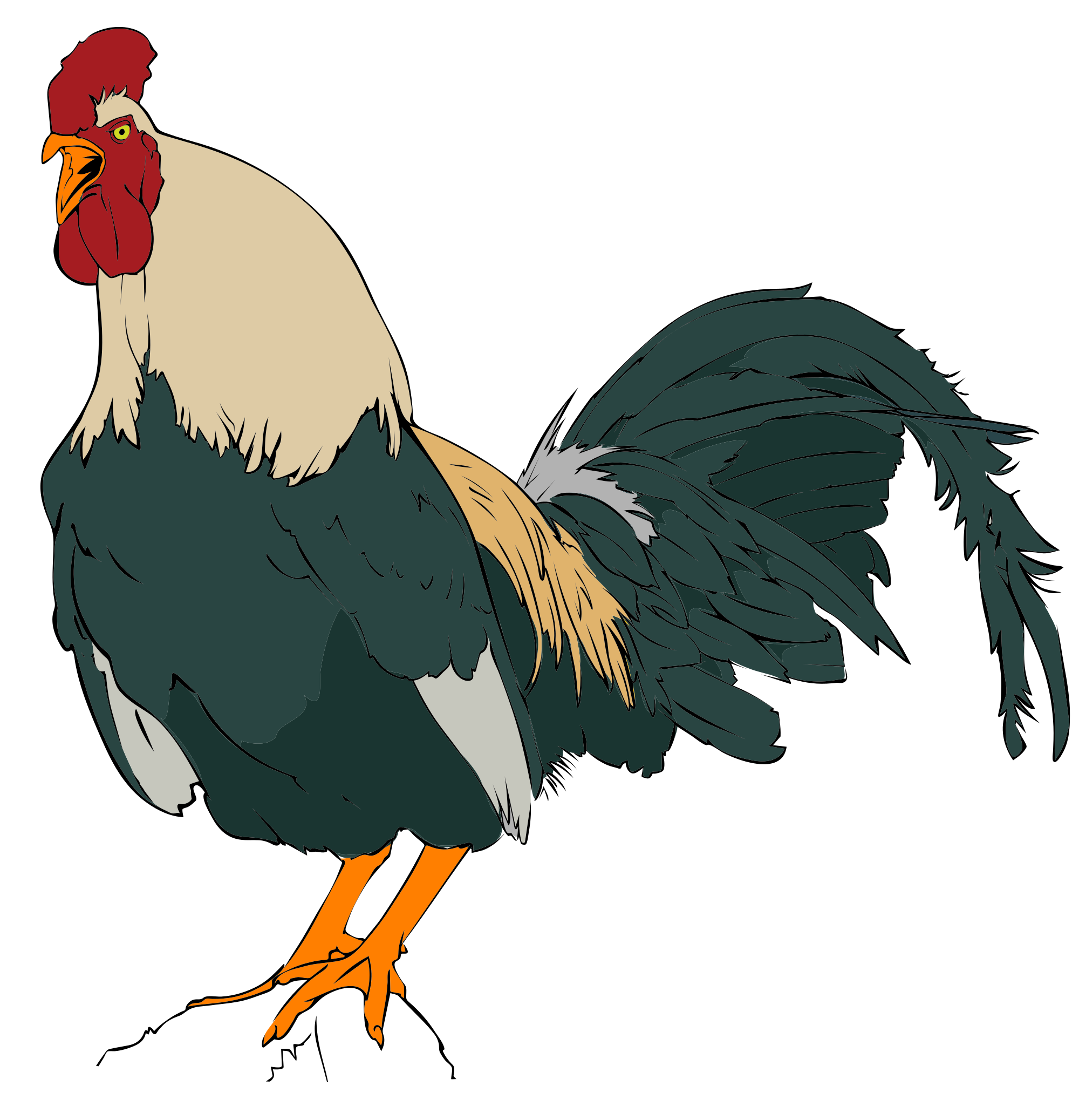 File Rooster Svg Wikimediamons Png Image Clipart