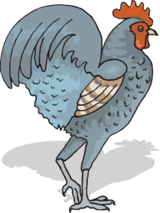 Walking Rooster High Quality Hd Photos Clipart