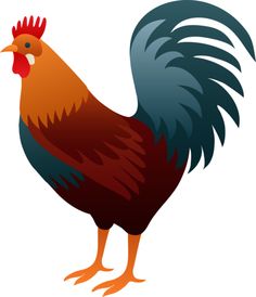 Rooster Hd Photos Clipart