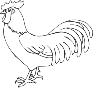 Black Rooster Kid Png Image Clipart