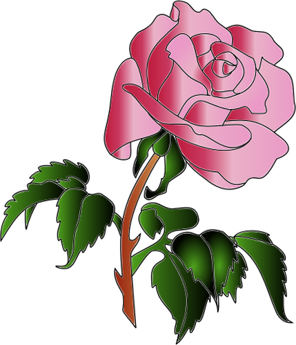 Of Pink Rose With Lots Of Leaves Clipart