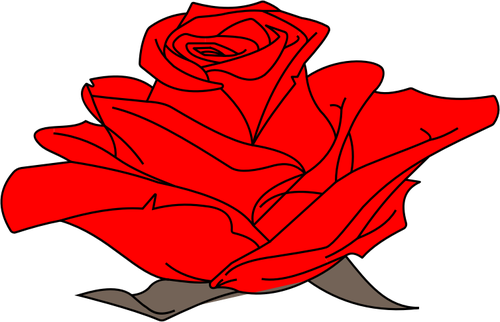 Colored Rose Clipart