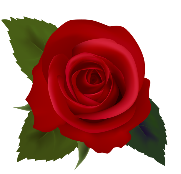 Red Roses Images Images Free Download Clipart