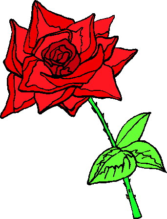 Roses Png Images Clipart