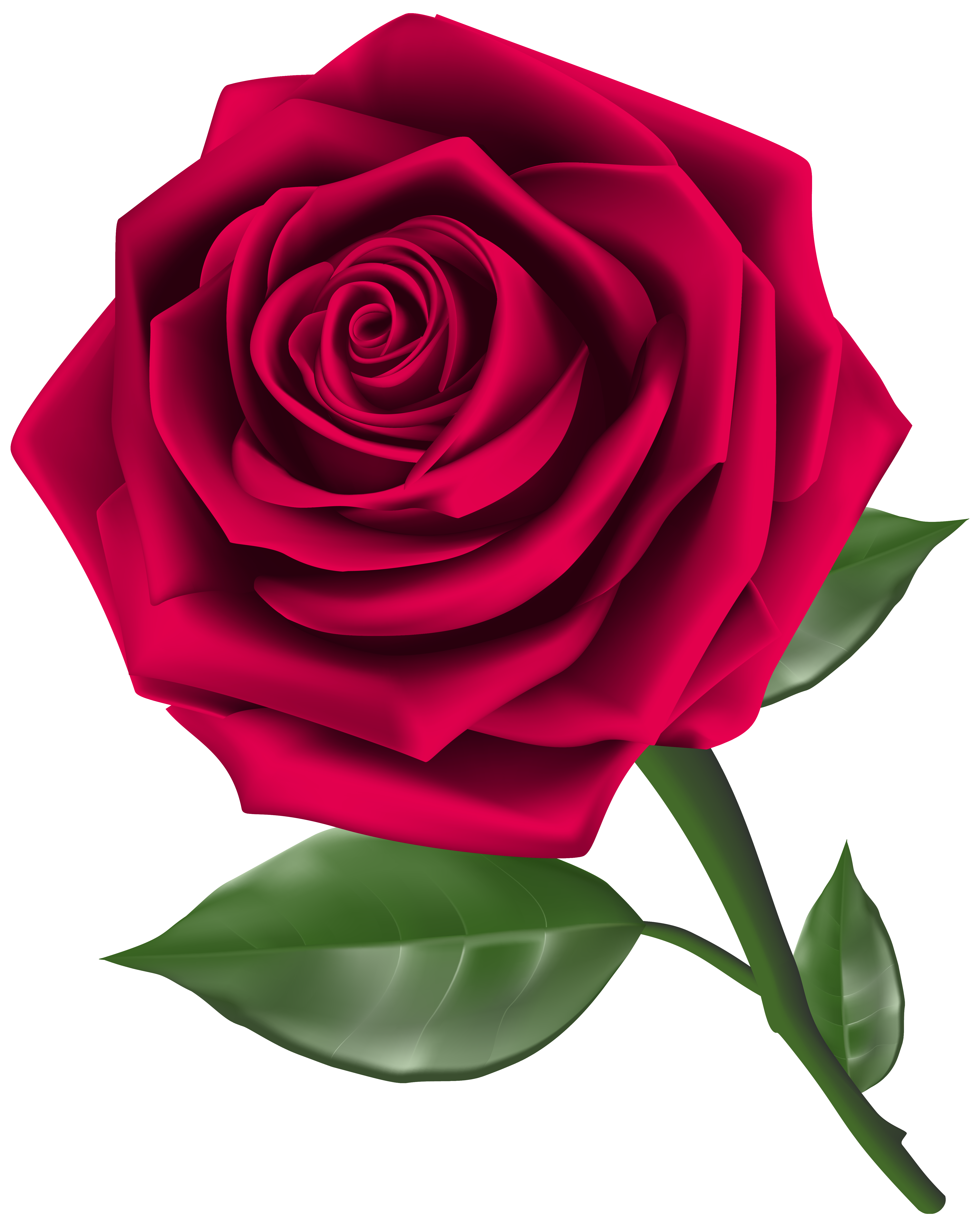 Roses Steam Rose Image Image Png Clipart