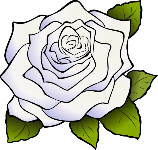 Roses Rose Animations And Vectors Transparent Image Clipart