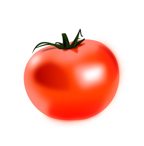 Of Shiny Tomato Clipart