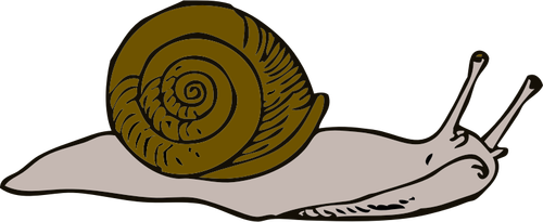 Of Snail Clipart