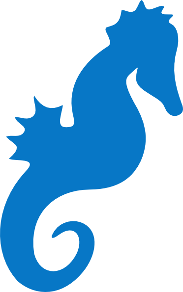 Blue Seahorse Images Image 2 Hd Image Clipart