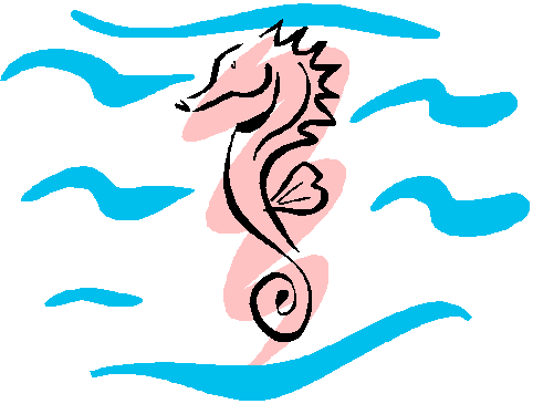 Seahorse Black And Images Transparent Image Clipart