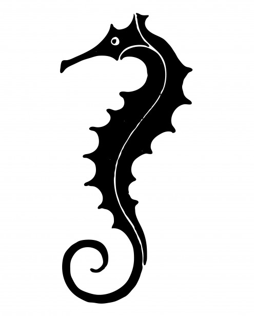 Seahorse Sea Horse Image 5 Image Png Clipart