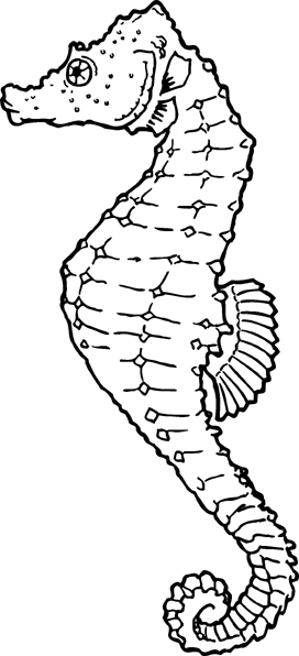 Free Seahorse 1 Page Of Public Domain Clipart