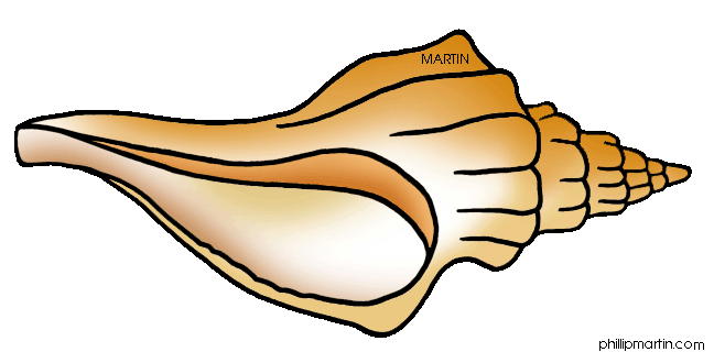 Seashell Png Images Clipart