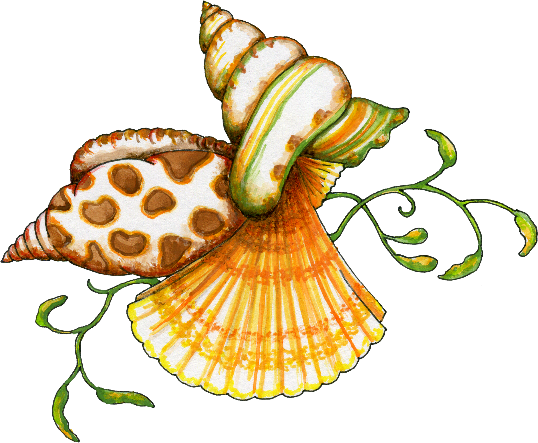 Seashell Borders Images Clipart Clipart