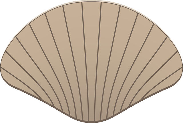 Seashell To Use Free Download Png Clipart