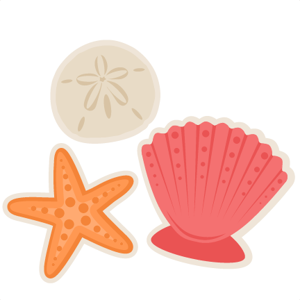Large Seashells And Others Art Inspiration Clipart