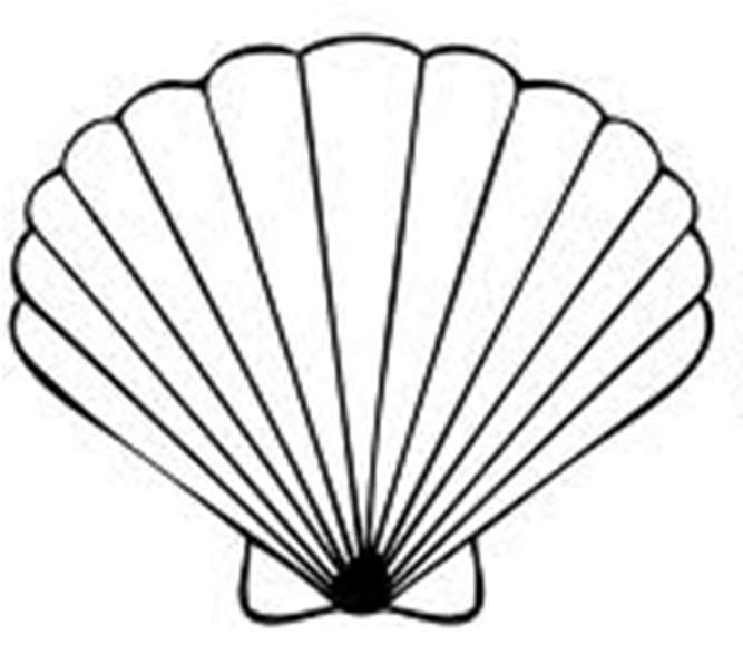 Seashell Black And White Images Hd Image Clipart