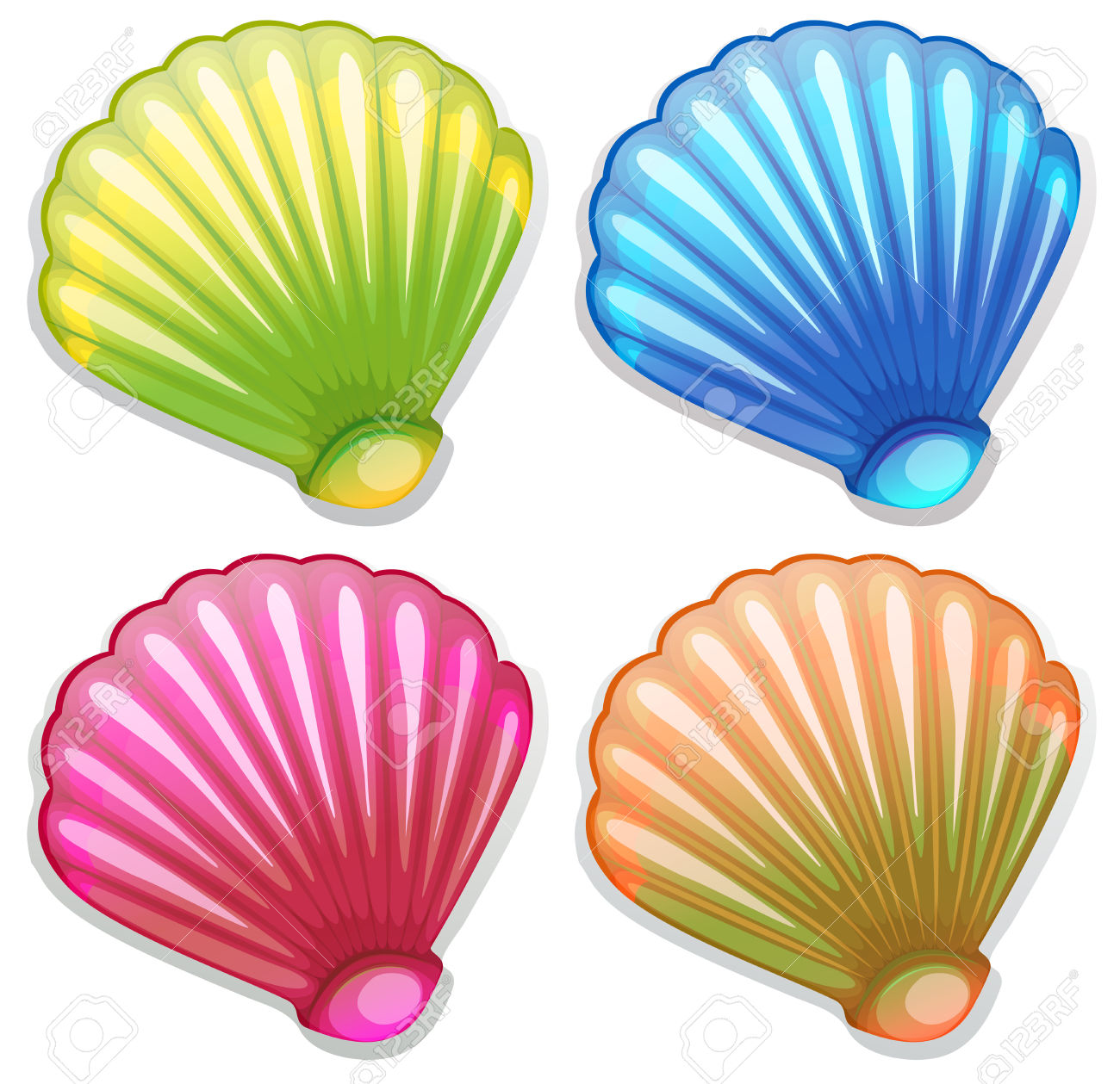 Colorful Seashell Download Png Clipart